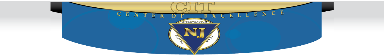 CIT-NJ Center of Excellence